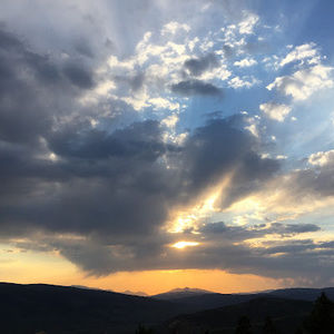 Meet your Posher, Jazmine